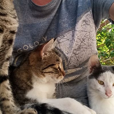 sehmusay's profile picture. edebiyat, şiir, redaksiyon, yayıncılık. 
redaksiyon işleriniz için editor@duzelti.com
