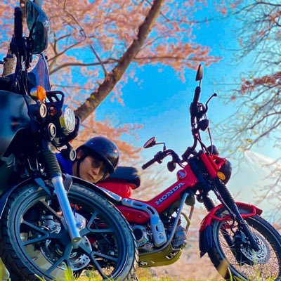 FXDL82527810's profile picture. 2001年式FXDLとクロスカブ(JA60)に乗っています。 DSC400→FXDL バイクに乗ってる知り合いを増やしたく登録しました。 バイクの知識はほぼゼロなので教えてくださると助かります。