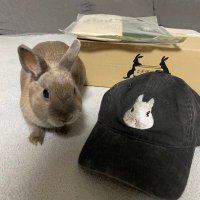 ãããð (@mrk_hmr) 's Twitter Profile