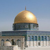 Muhammad . S . A (@msa47466738a) 's Twitter Profile