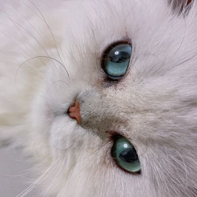 知名交易所前投资总监,五国语言流利,全球数字游民。Web3 buidli, former investment director at a top exchange