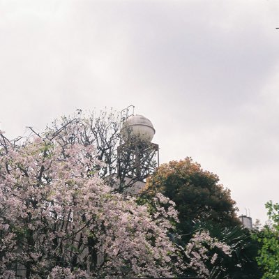 rtklx_dayo's profile picture. hosei arc.🧷夏は直島