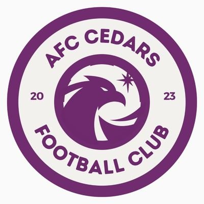 From driving local partnerships with businesses to encouraging the players to be ‘one team’.
AFC Cedars is a ‘hub of support’ for men 18+.
#RisingTogether