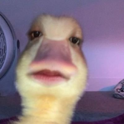 harsh_ver_ma's profile picture. 