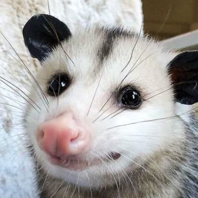 summansei's profile picture. 거래계정 글 있으면 100년이 지났어도 아직 있습니다. 친절한 주만지. 맘 편히 문의주시길.