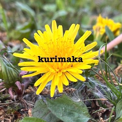 kurimaka7 Profile Picture