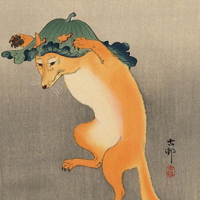 kitsuneakafox's profile picture. 🦊