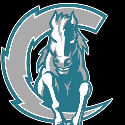 Almeta Crawford Football Profile