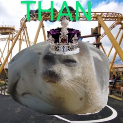 Than - He/Him/Phoque | PRIME Hydration fan | Theme Parks, rides and roller coaster | Sabaton, Lordi, Metallica and GLORYHAMMER fan | Paultons and Alton Towers.