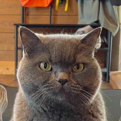 kentaro3878's profile picture. 