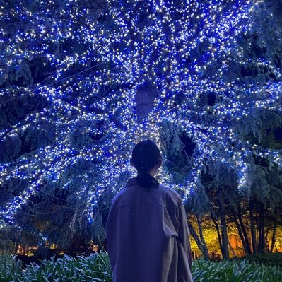 こむぎだいすきすきくんさんのプロフィール画像