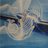PeterGoldmacher's profile image