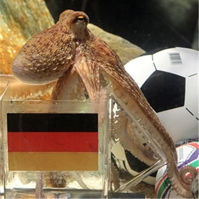 Mal mehr, mal weniger ernstgemeinte Hottakes zum aktuellen Geschehen im Weltfußball. Hauptsächlich Bundesliga.