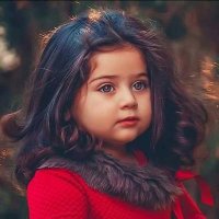 Alaa Elfooly (@alaaelfooly) 's Twitter Profile