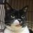 yuagesara_7nyan's profile image