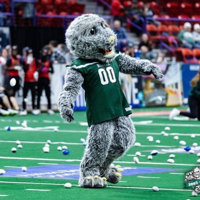 The official mascot of the Green Bay Blizzard Professional Indoor Football Team! #goblizz #bruisertheyeti #getblizzy #letsgetblizzywithit