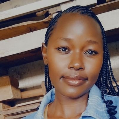 Civil Engineer