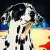 eattheart23 ☮️✌️🧩 (@eattheart23) Twitter profile photo eattheart23 ☮️✌️🧩 (@eattheart23) Twitter profile photo