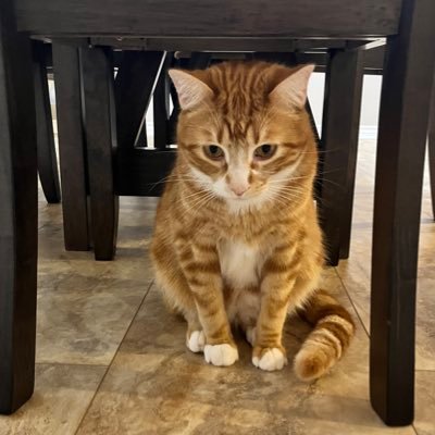 joaggie00's profile picture. 