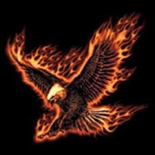 movies for life🎟️
Sunrisers🦅🦅 and Deccan chargers🐂 fan