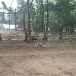 岐阜の地方でのんびり暮らしてます。水泳女子の趣味垢。相互垢です。フォローさせてくださいね。無言フォロー失礼します。慣れてくると沢山話します。是非、気軽に絡んでくださいね。よろしくです～