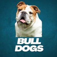 Bull Dog Fans Club(@bulldogfansclub) 's Twitter Profile Photo