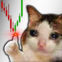 Weldon Bins (@binsweldon78831) 's Twitter Profile