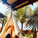 Camilla Evans - @Primrose5001971 - Twitter