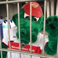 David (@david___1893) 's Twitter Profile