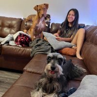 Katia Rangel(@rangelrescue) 's Twitter Profile Photo