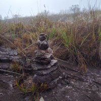 Só para loucos 🔥 (@oliverjf1) 's Twitter Profile Photo