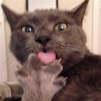 KJ (@kj66783924) 's Twitter Profile Photo KJ (@kj66783924) 's Twitter Profile Photo