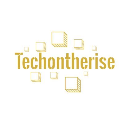 Welcome to Techontherise, a dynamic new startup that specializes in web design and development, as well as a range of other IT services.
