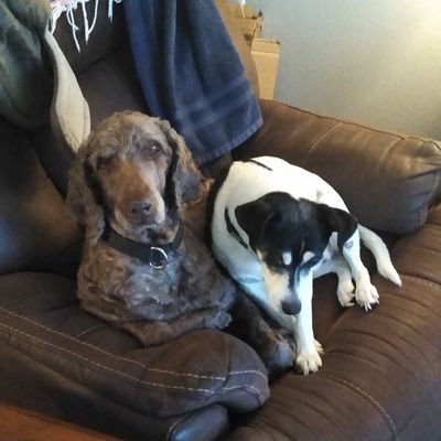 KevinLi58530992's profile picture. introvert / turn Nebraska Blue 💙