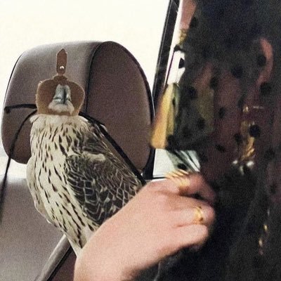 vs2ll's profile picture. 