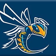 CedarvilleWBB Profile Picture