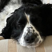 Rachael C (@twintwo_73) Twitter profile photo