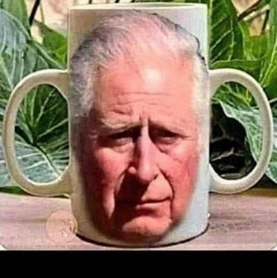 magglemcfly's profile picture. Pronouns: it/that. Fashion designer, astronaut, liar.