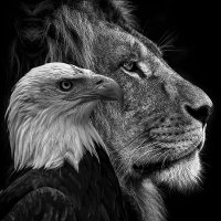 James Alexander Mauro (@jmauro1957) 's Twitter Profile
