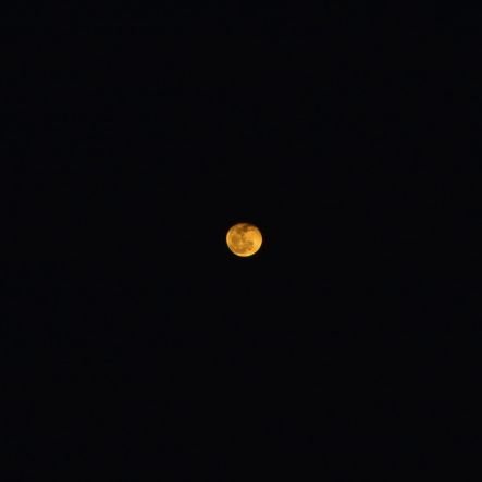 nadingkayl's profile picture. slay lang accla