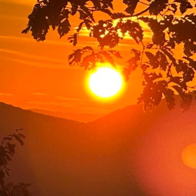 dellwhited's profile picture. Father of 11, husband, follower of Christ, fan of the Yankees, Celtics, and the Broncos. Sales and Marketing Specialist