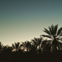 ABO NORAH (@hsabb) 's Twitter Profile