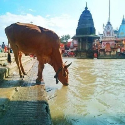 भारत के प्रेम में खुद को तपाये बैठे है , मरेंगे भारत के लिए ये वचन मृत्यु से लगाए बैठे हैं… @k47🇮🇳