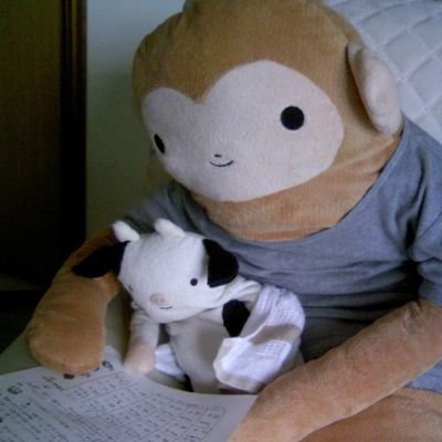 fmofmo2030's profile picture. フモフモさん大好き！癒やされますね☺️
昔撮り溜めしていた写真を載せてます！
これからも撮って行きたいです。