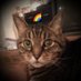 Annie Bennie (@notcenedra) Twitter profile photo Annie Bennie (@notcenedra) Twitter profile photo