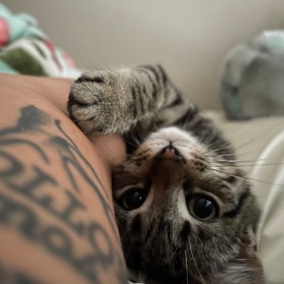 TalshaG's profile picture. hello