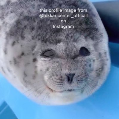 love ponsuke🦭forever (@ponsukeforever) / Posts / X