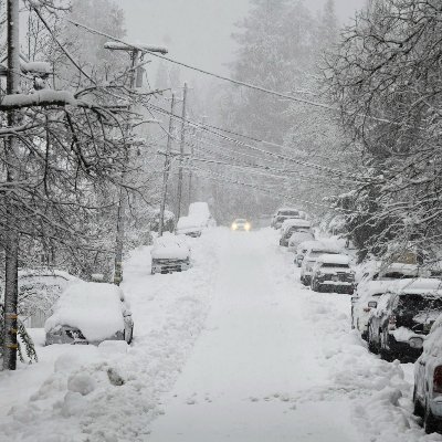 snows76's profile picture. 