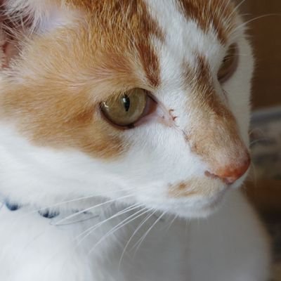 7qDLg1dk3y2076's profile picture. 