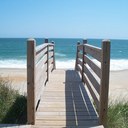 susanna johnson - @Susanna_Seed - Twitter